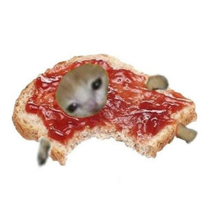 Meet your Posher, Reagan